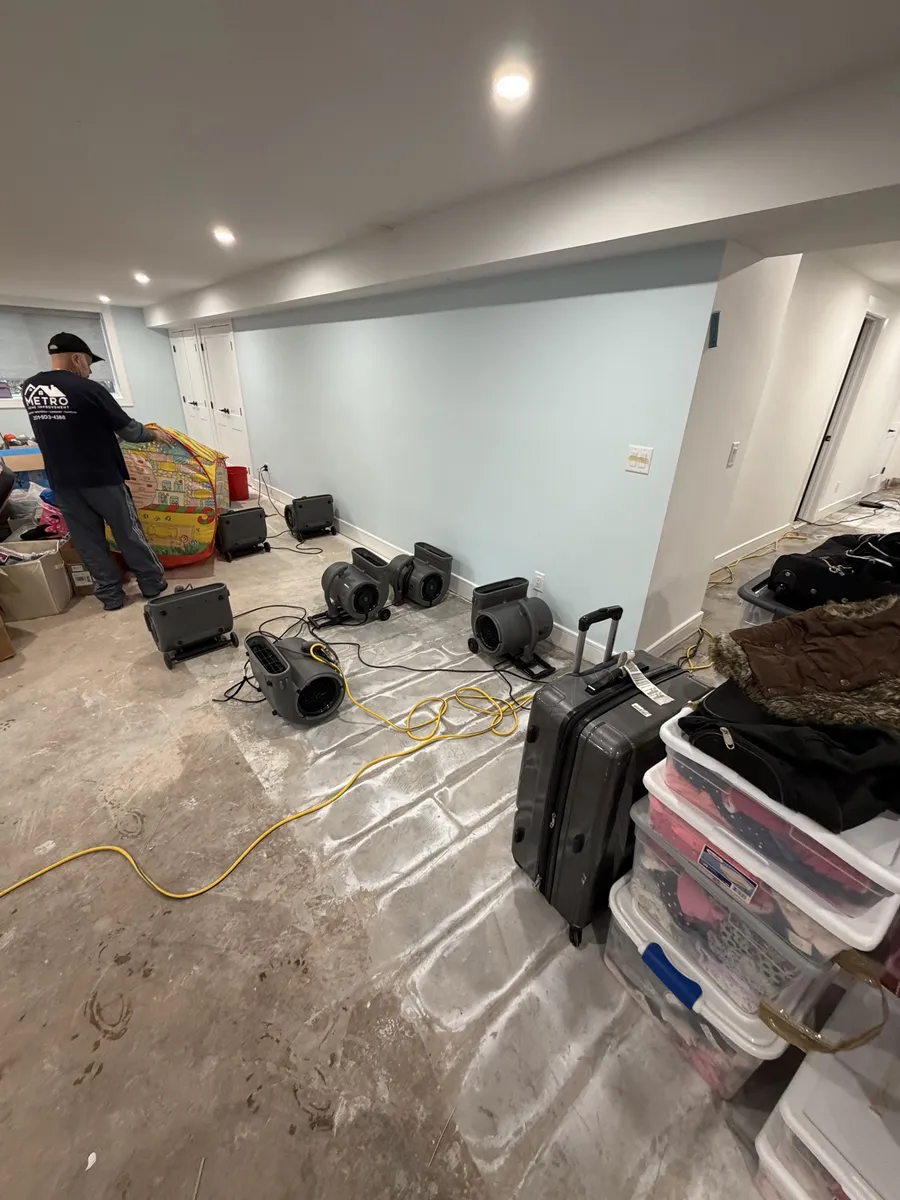 Metro technician in a finished basement with flooring removed to the concrete and air movers drying the walls
